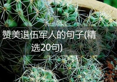 赞美退伍军人的句子(精选20句)