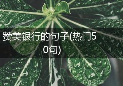 赞美银行的句子(热门50句)