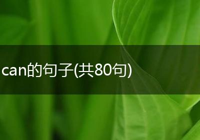 can的句子(共80句)