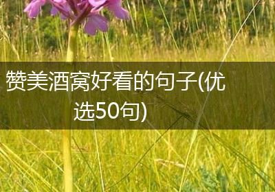赞美酒窝好看的句子(优选50句)