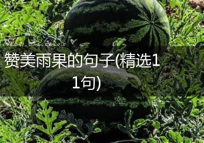 赞美雨果的句子(精选11句)