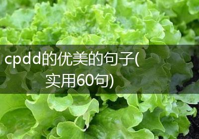 cpdd的优美的句子(实用60句)