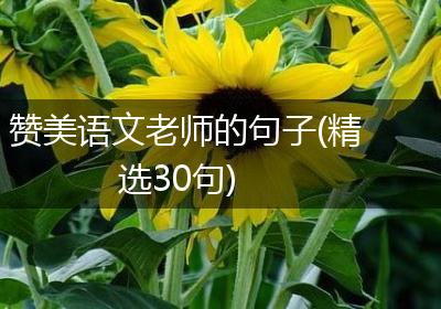 赞美语文老师的句子(精选30句)