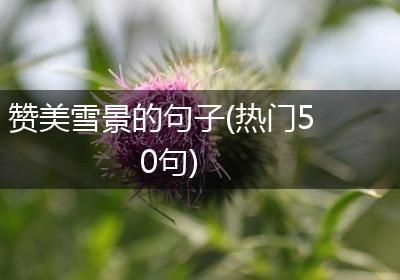 赞美雪景的句子(热门50句)