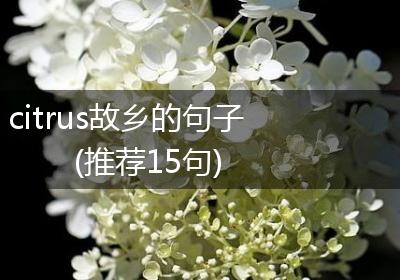 citrus故乡的句子(推荐15句)
