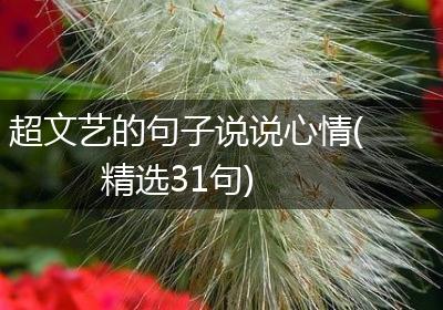超文艺的句子说说心情(精选31句)