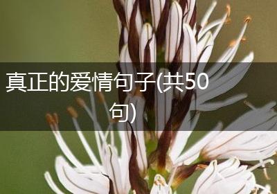 真正的爱情句子(共50句)