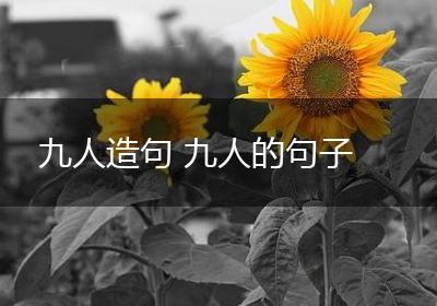 九人造句 九人的句子