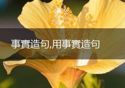 事實造句,用事實造句