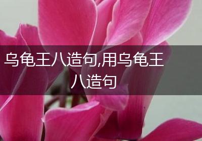 乌龟王八造句,用乌龟王八造句