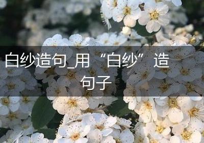 白纱造句_用“白纱”造句子
