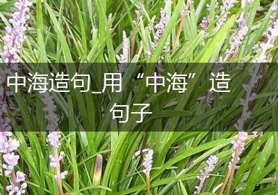 中海造句_用“中海”造句子