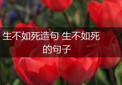 生不如死造句 生不如死的句子