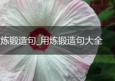 炼锻造句_用炼锻造句大全