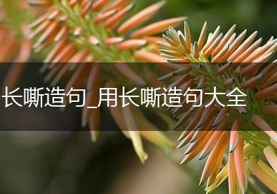 长嘶造句_用长嘶造句大全