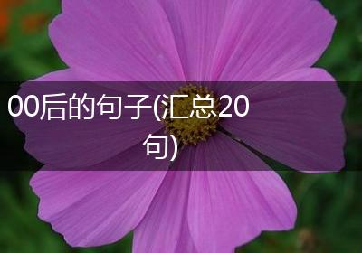 00后的句子(汇总20句)