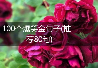 100个爆笑金句子(推荐80句)
