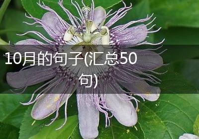 10月的句子(汇总50句)