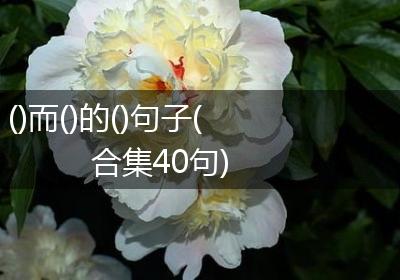 ()而()的()句子(合集40句)