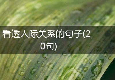看透人际关系的句子(20句)