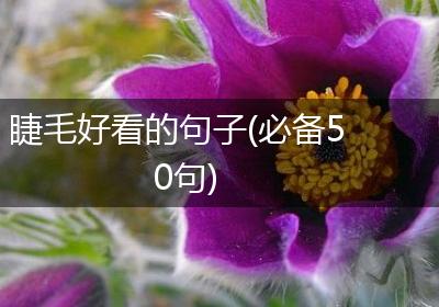 睫毛好看的句子(必备50句)