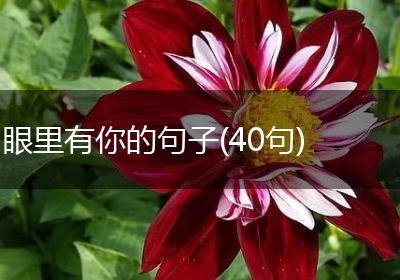 眼里有你的句子(40句)