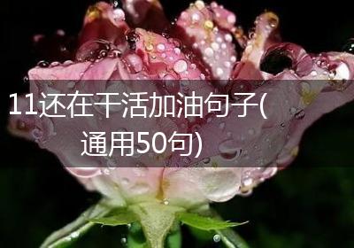 11还在干活加油句子(通用50句)