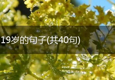 19岁的句子(共40句)