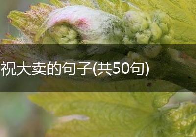 祝大卖的句子(共50句)