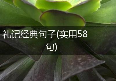 礼记经典句子(实用58句)