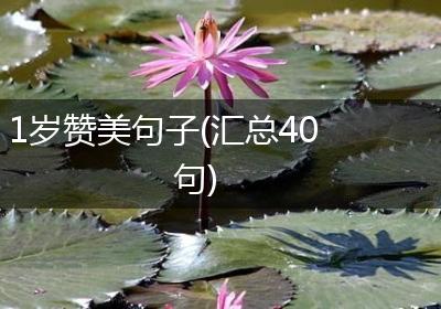 1岁赞美句子(汇总40句)