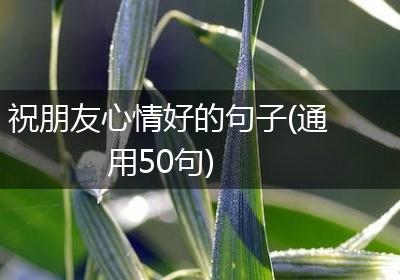 祝朋友心情好的句子(通用50句)