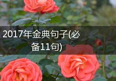 2017年金典句子(必备11句)