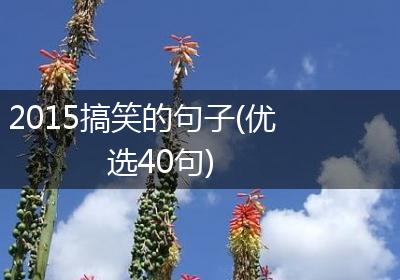 2015搞笑的句子(优选40句)