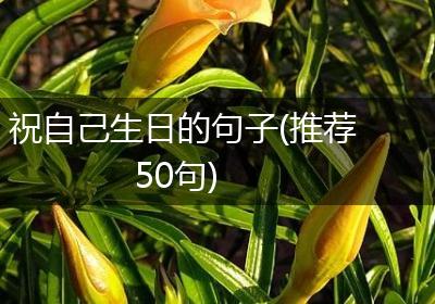 祝自己生日的句子(推荐50句)