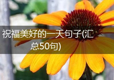 祝福美好的一天句子(汇总50句)