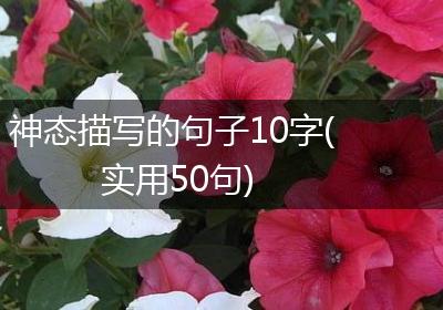 神态描写的句子10字(实用50句)
