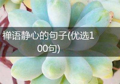 禅语静心的句子(优选100句)