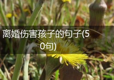 离婚伤害孩子的句子(50句)