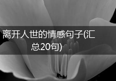 离开人世的情感句子(汇总20句)