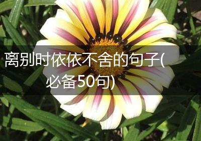 离别时依依不舍的句子(必备50句)