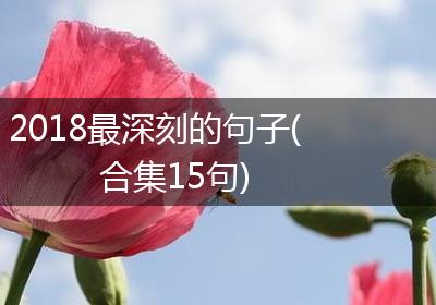 2018最深刻的句子(合集15句)