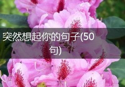 突然想起你的句子(50句)