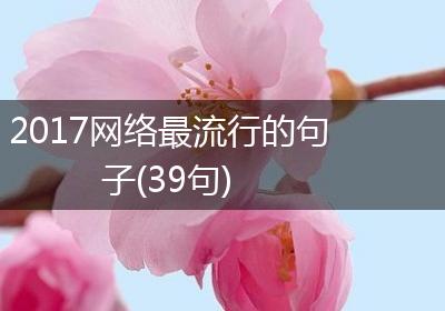 2017网络最流行的句子(39句)