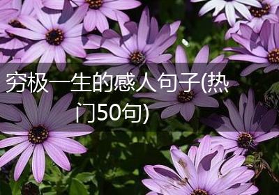 穷极一生的感人句子(热门50句)