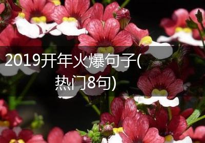 2019开年火爆句子(热门8句)