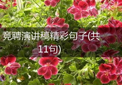 竞聘演讲稿精彩句子(共11句)