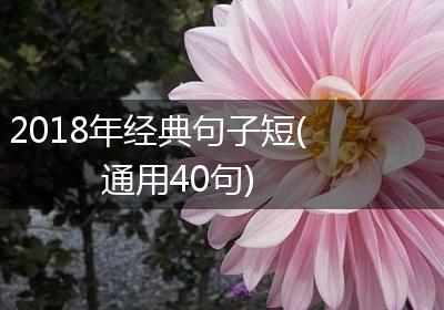 2018年经典句子短(通用40句)
