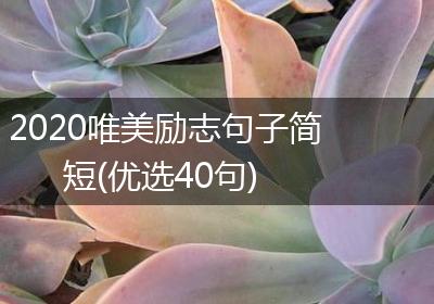 2020唯美励志句子简短(优选40句)