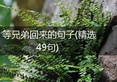 等兄弟回来的句子(精选49句)